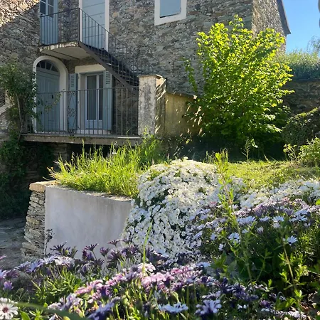 Avec Jardin Et Piscine